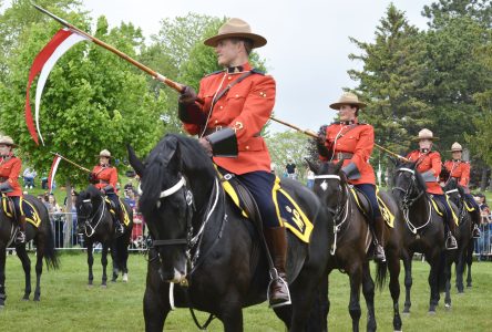 RCMP Musical Ride, Mayor and Council Picnic fun