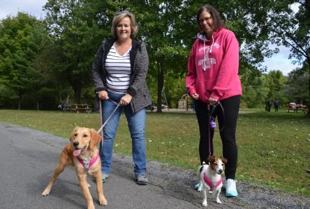 Fun at Friends for Life Walk