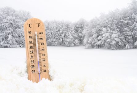 Bitter cold temperatures, snowfall expected for region