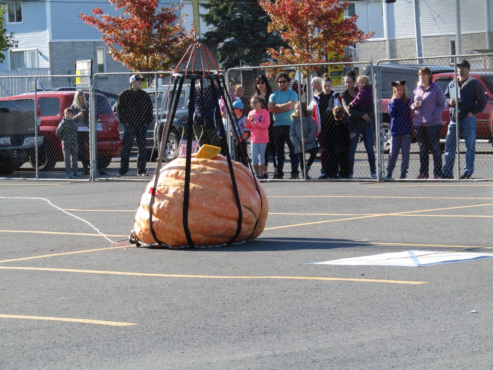 Festive Fun At Pumpkin Drop