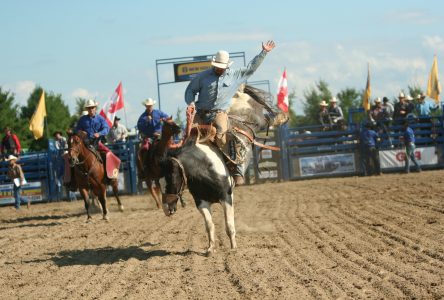 Alexandria Western Rodeo in full swing