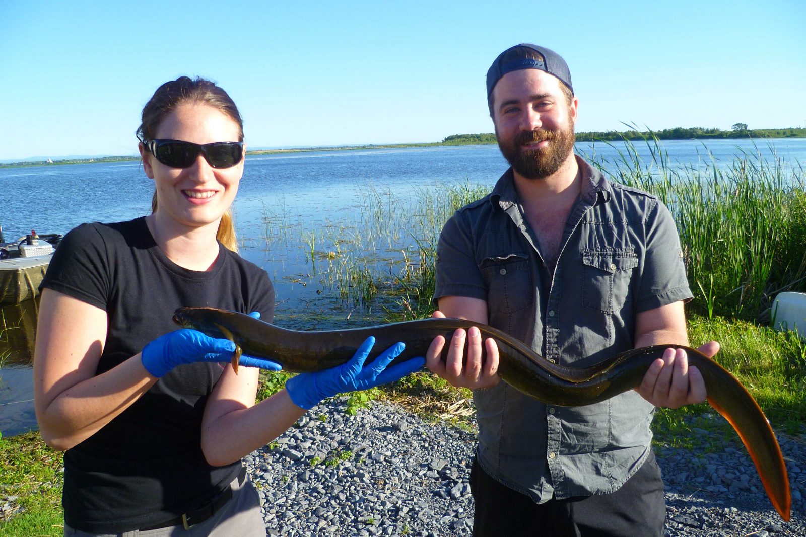 River Institute receives $59,300 for American eel project