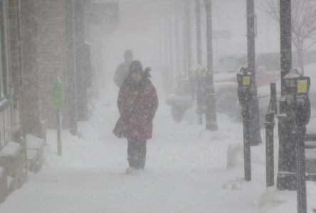 Snow squall warning for region