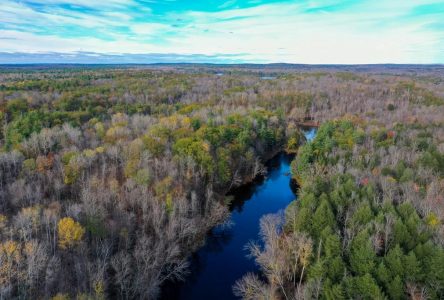 Wildlife corridor in Lake Ontario watershed now protected land: conservation group