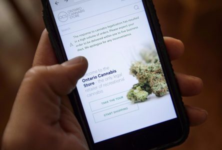 Pot shop sales data breach could shift competition in market, alter confidence in OCS