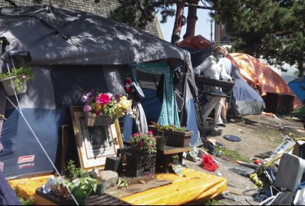 Toronto planning to hire private security to prevent encampments in parks