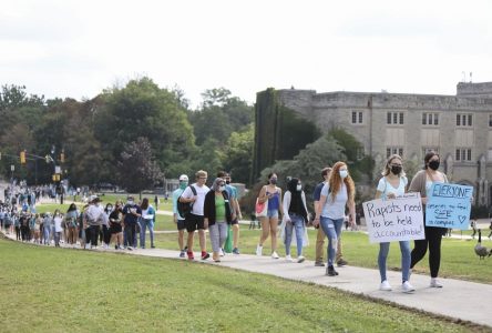 Western University taking steps to address sexual violence, change culture on campus