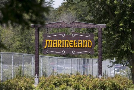 Marineland bans lawyer, filmmaker and scientist among others from entering park