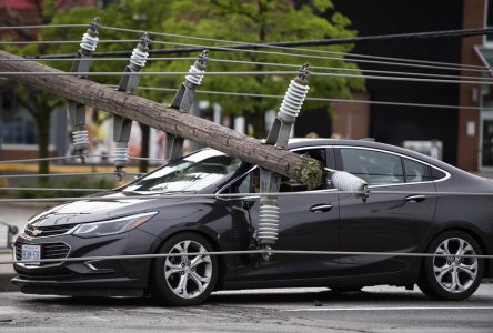 Clean-up underway after storm leaves at least eight dead, thousands without power