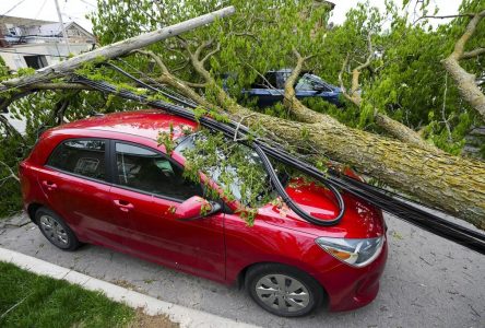 11th person dies from weekend storm, tens of thousands Ontarians still without power