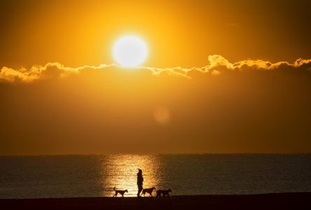 Hot summer temperatures, big storms to sweep much of Canada, Weather Network predicts