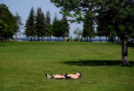 Toronto records new temperature high for May 31, beats 78-year-old temperature record