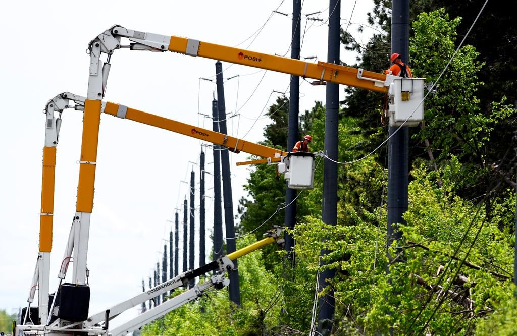 Remote parts of Bancroft, Tweed to remain without power for days or weeks after storm