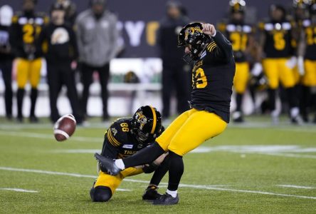 Ticats kicker Domagala used to competing for roster spot with Hamilton Tiger-Cats