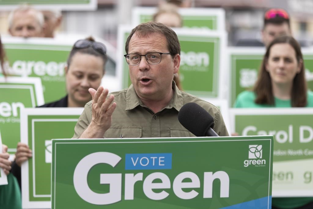 Ontario Greens come up short in Parry Sound-Muskoka despite vigorous campaigning