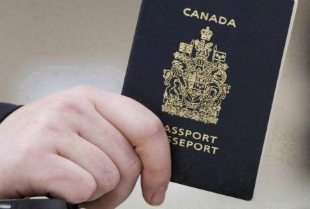 Passport application backlog leads to lineups, scrambles summer travel plans