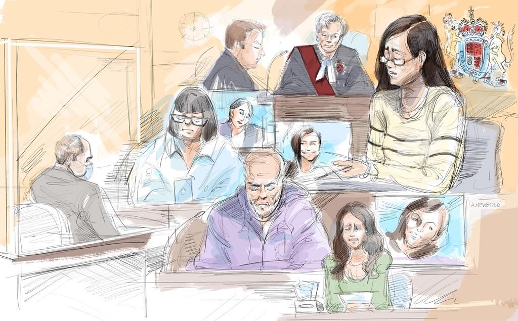 ‘Elephant in the room’: Judge addresses impact of SCOC ruling in van attack case