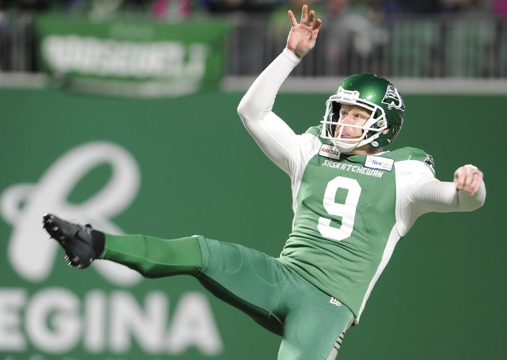 Hamilton Tiger-Cats sign veteran punter Jon Ryan