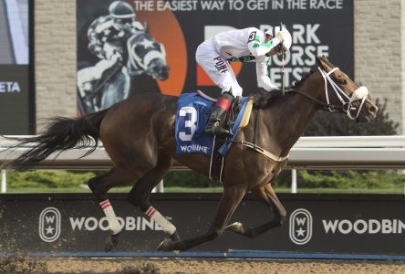 Moira puts on quite a show in winning $500,000 Woodbine Oaks