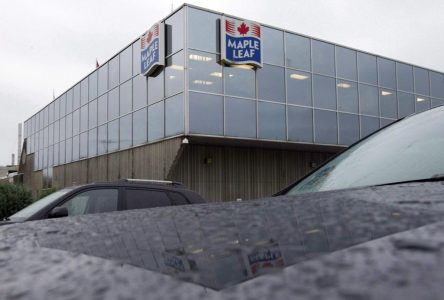 Maple Leaf stock drops on disappointing results as economic challenges weigh