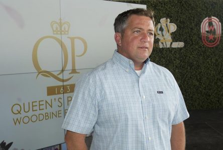 Filly Moira installed as early 5-2 favourite for $1-million Queen’s Plate