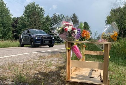 Funeral cost donations pour in for families of six Barrie, Ont., crash victims