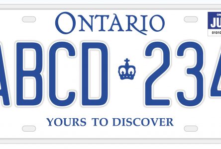 Do you need to renew your license plate?