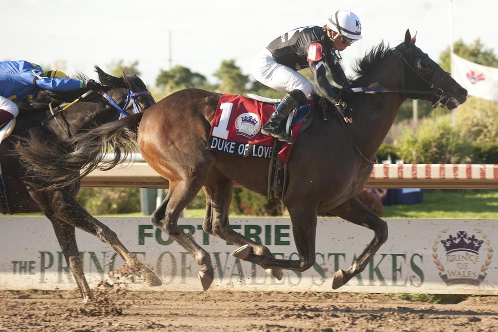 Stein earns first Prince of Wales Stakes win aboard Duke of Love