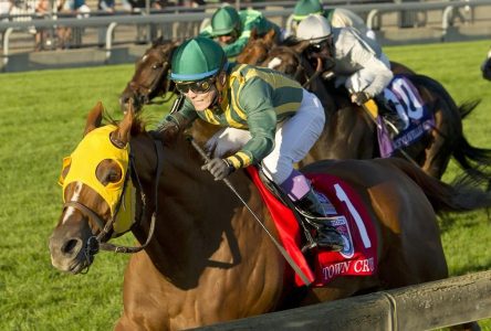 Defending champion Town Cruise highlights solid ’22 Ricoh Woodbine Mile field