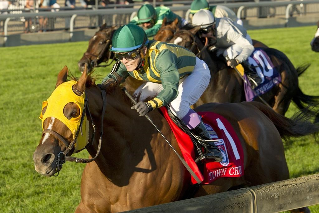 Defending champion Town Cruise highlights solid ’22 Ricoh Woodbine Mile field