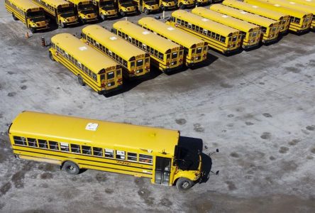 School bus driver shortages in several Ontario cities likely to continue: officials