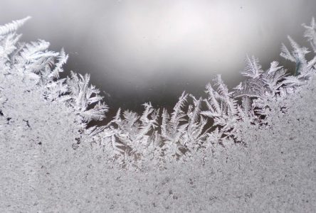 Environment Canada issues frost warning for much of southern Ontario, parts of north