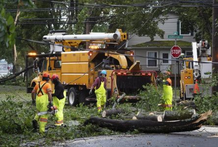 Hurricane Fiona highlights gaps in insurance as climate change worsens, experts say