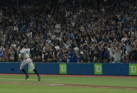 Frankie Lasagna back in the kitchen at Italian restaurant after viral baseball moment