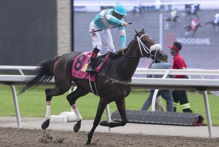 Queen’s Plate champion Moira to run in $750,000 E.P. Taylor Stakes event