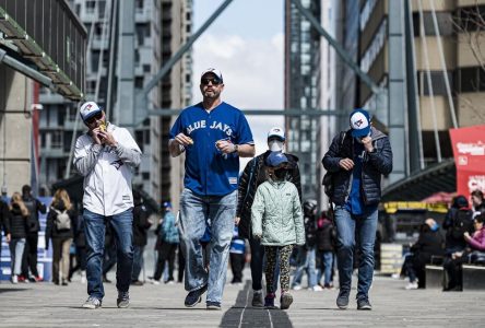 ‘This is big for us’: Local businesses cheer on Blue Jays’ playoff run