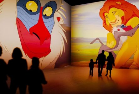 Toronto-based company behind Immersive Van Gogh teams up with Disney on new project