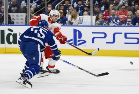 Maple Leafs sting Red Wings 5-1 in pre-season finale