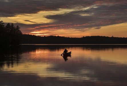 Ontario Parks to reduce maximum camping stays during height of summer