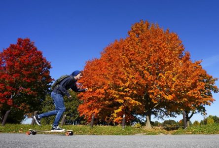 Cool temperatures leading to vibrant fall colours in Ontario: experts