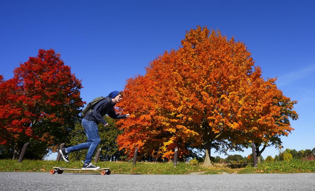 Cool temperatures leading to vibrant fall colours in Ontario: experts