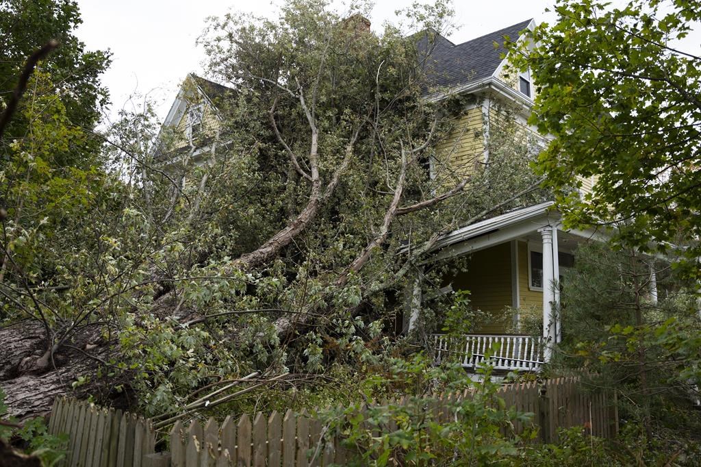 Insurance industry recommends climate risk score for houses