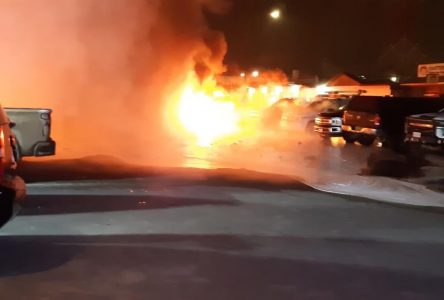 Arson suspected as police vehicles, ambulance torched in B.C. fire