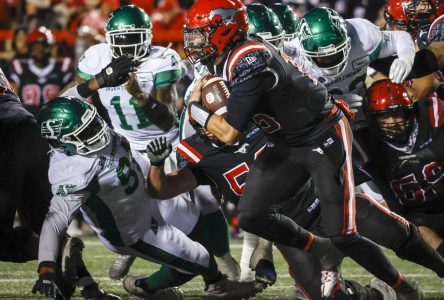 Stevens, Mills, Adeyemi-Berglund honoured as Stampeders sweep CFL weekly awards