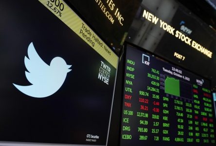 From tweets to ‘toots’: Twitter users flock to alternatives after Musk’s takeover