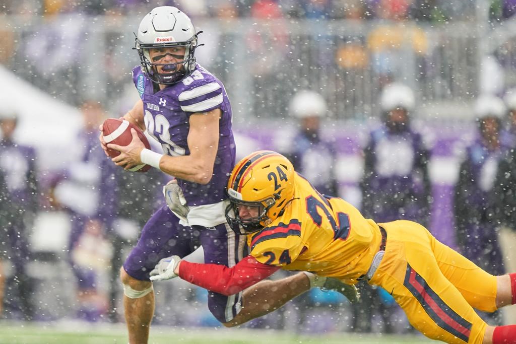 U Sports Football: Mustangs move closer to Vanier Cup defence with rout of Queen’s