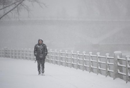 Environment Canada issues snow squall alerts for parts of southern, northern Ontario