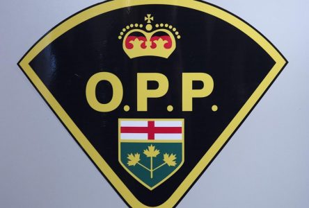 Child exploitation on the rise in Ontario as 107 arrested in provincewide probe: OPP