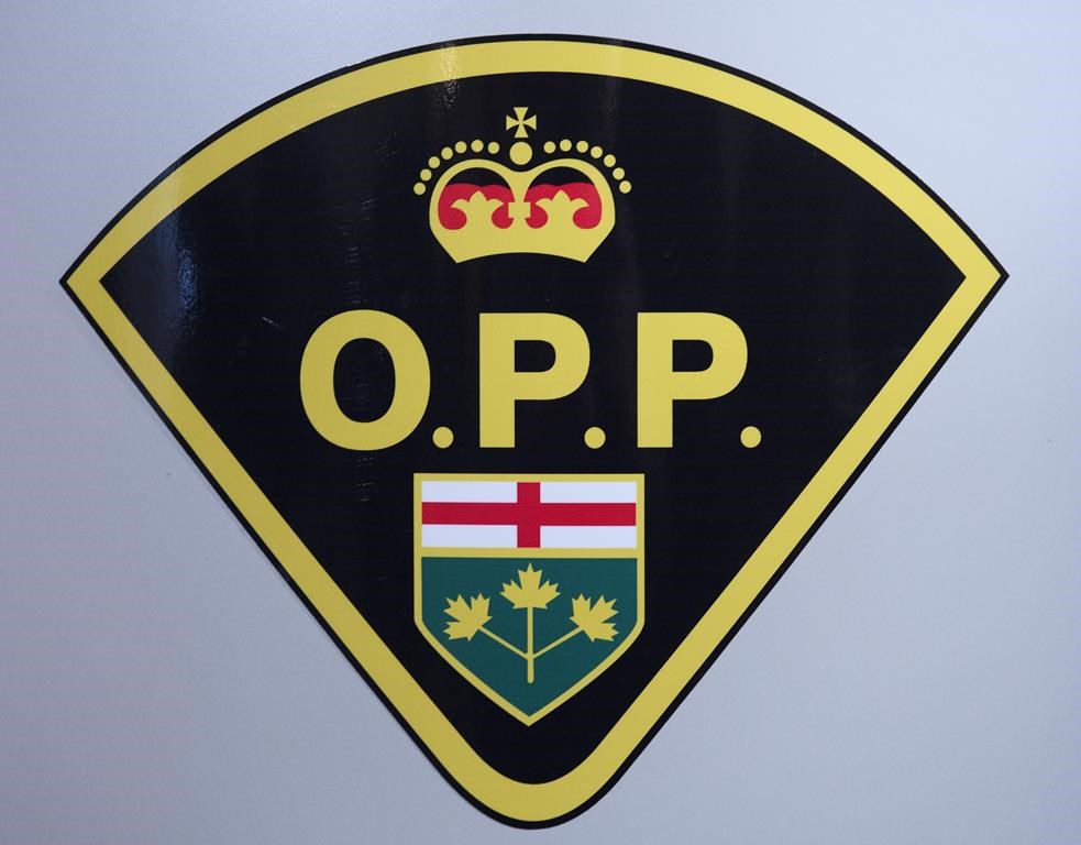 Child exploitation on the rise in Ontario as 107 arrested in provincewide probe: OPP