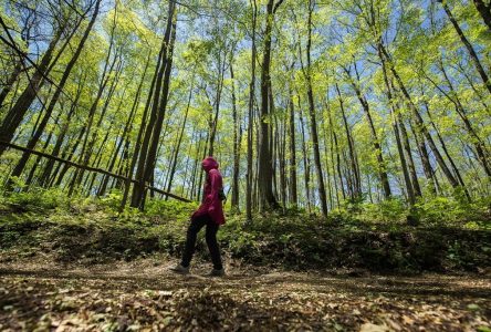 Ontario won’t allow homes to be built on floodplains, Ford says after fed warning